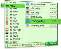 mkv converter