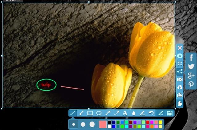 Apowersoft Screen Capture Pro - 屏幕截图软件丨反斗限免