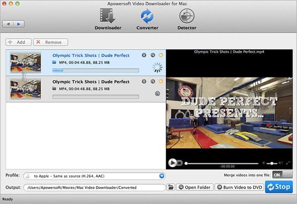 Streaming Video Recorder - Apowersoft